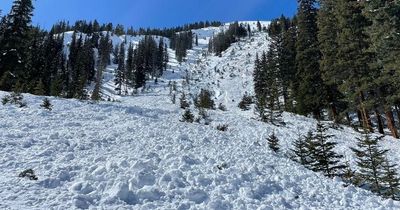 Colorado avalanche: Huge disaster kills at least one and leaves two buried alive