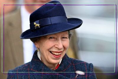 Princess Anne stuns at final day of Cheltenham in sleek fedora and accessories showing her passion for all things equestrian