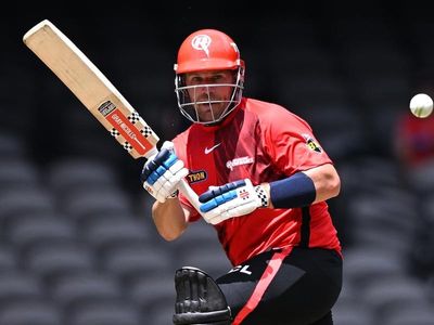 Australian stars join American T20 cricket league