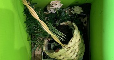 Waitrose apology after Mother's Day flowers arrived smashed and covered in mud