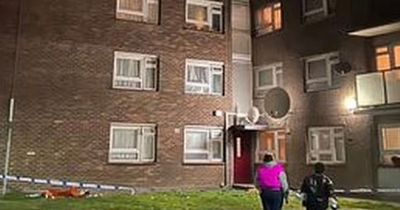 Two women arrested for 'child neglect' after toddler plunges from 8th-floor flat
