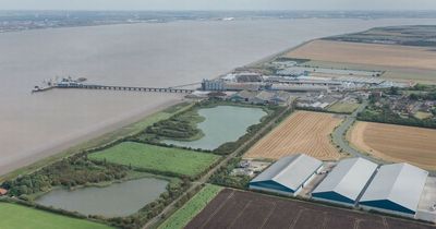 Humber bulk terminal bought by port giant Peel as it secures South Bank operation
