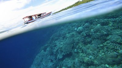 UN to release capstone report on climate change amid rising carbon emissions