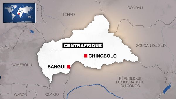 Nine Chinese nationals killed in mining site attack in Central African Republic