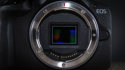 Canon will approve third-party RF lenses on "a case-by-case basis"