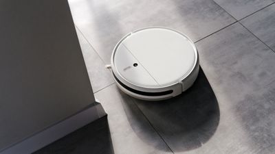 Are robot vacuums really worth it? Cleaning experts weigh in on the pros and cons