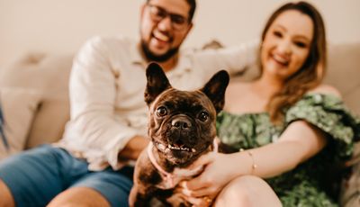 Want the perfect pooch when guests come over? Trainer shares four easy tips to set up success with visitors