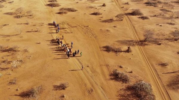 Report: 43,000 Estimated Dead in Somalia Drought Last Year