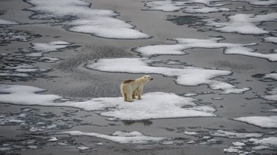 IPCC scientists still hopeful of capping global warming at 1.5°C