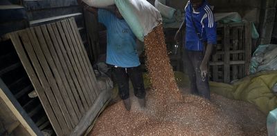 Beans are a favourite food in Nigeria - 4 safe ways to preserve them