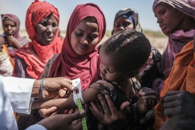 Somalia drought could lead to 135 deaths a day: UN study
