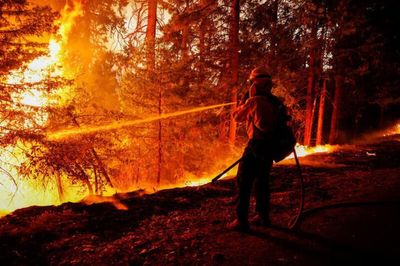 'Climate time bomb ticking', emissions must urgently be cut -UN chief