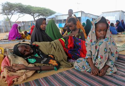 Somalia's drought killed 43,000 last year, half under five - study