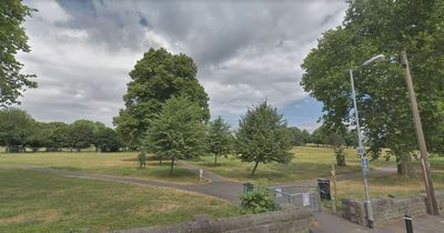 Woman 'grabbed boy's arm' in Victoria Park