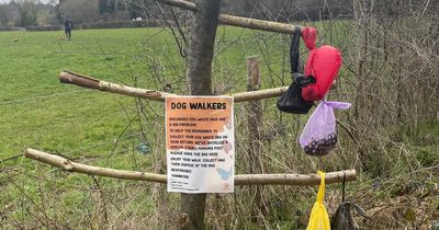 Poo-bag trees row as council asks dog owners to hang up their pets' mess