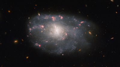 Hubble Space Telescope spies 'irregular' spiral galaxy in Ursa Major (photo)