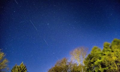 Calls for ban on light-polluting mass satellite groups like Elon Musk’s Starlink