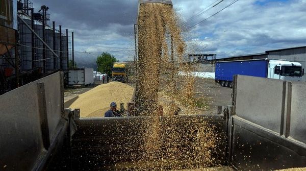 Putin Warns Russia Could Drop Grain Deal after 60 Days