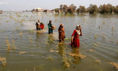 World can still avoid worst of climate collapse with genuine change, IPCC says