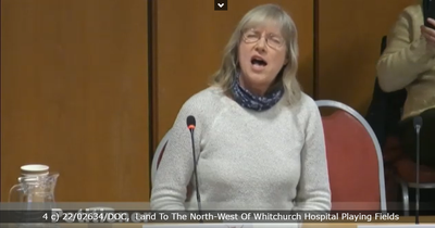 Campaigner breaks into song at Cardiff Council planning meeting