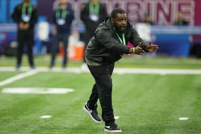 Steelers promote Denzel Martin to OLB coach