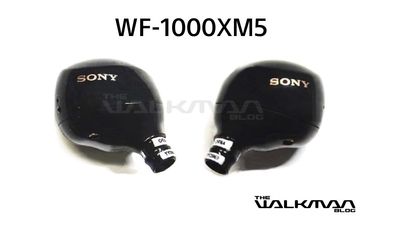 Sony WF-1000XM5: release date rumours, potential price, features and spec leaks