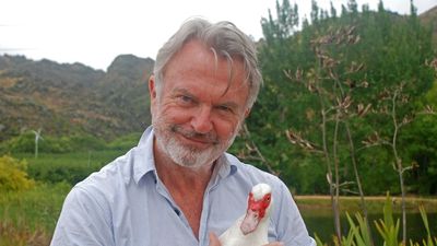 Sam Neill shares behind-the-scenes Hollywood moments in memoir Did I Ever Tell You This?