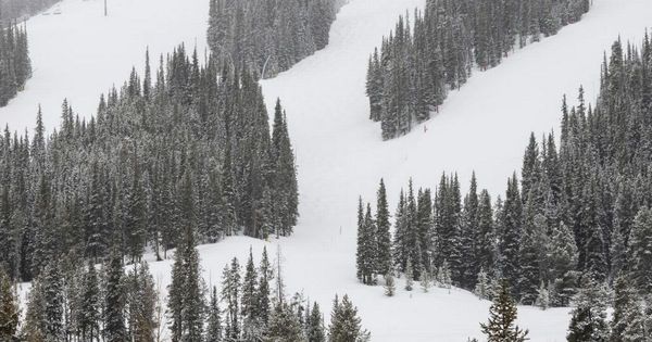 Two teenage boys killed riding tandem on sled during spring break holiday in Colorado
