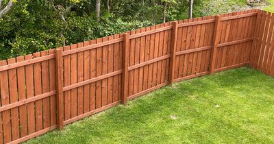 Woman 'appalled and shocked' after neighbours charge her £3,000 for a fence she didn't want