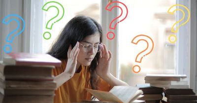 Just 5% of people with high IQs can solve this animal brain teaser