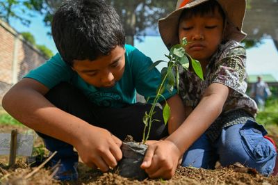 Lush forests mean healthy people
