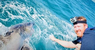 Hunt for missing shark tag buried at Stockton beach