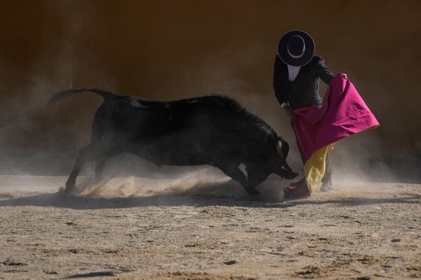 Bullfighting ban faces critical legislative vote in Colombia