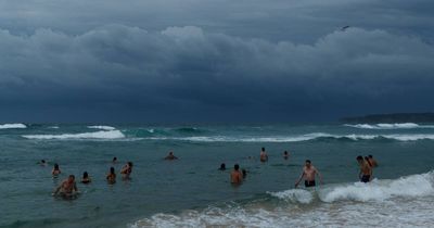 NRMA claim data reveals the Hunter suburbs hit hardest in wild weather