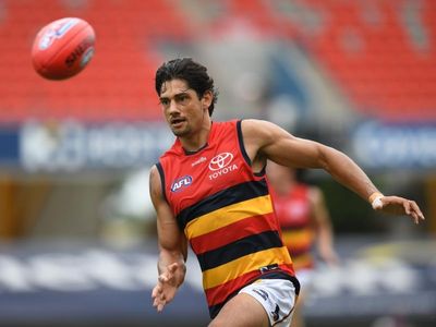 Adelaide's McAdam banned for three games by high bump