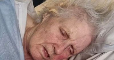 Elderly mum dies after 28 days without food or water as son hits out at 'inhumane' care