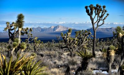 Biden is creating new national monuments to protect land in Nevada and Texas