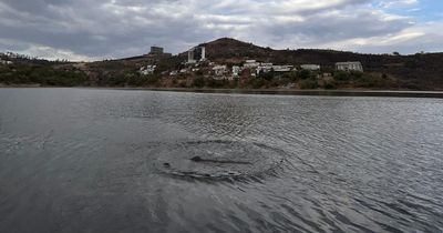 Police searching for NEW Loch Ness monster in depths of reservoir by massive dam