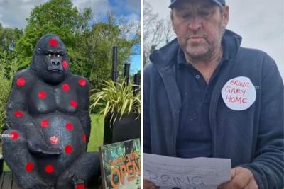 Garden centre staff in hilarious appeal after their 8ft gorilla is stolen