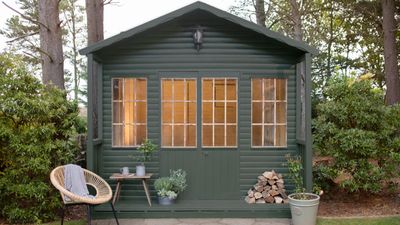 7 things experts say you should get rid of in your shed right now for optimal storage