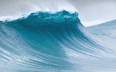 Ocean waves and nuclear fusion behind new Australian technologies for green power