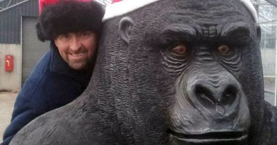 Thieves steal 8ft gorilla from garden centre leaving owner raging at 'planned robbery'