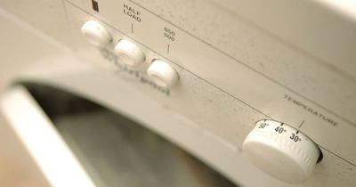 Woman astonishes home owners with 'little-known' button that cleans washing machine grime