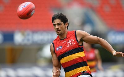 Adelaide’s Shane McAdam receives three-game ban for high bump