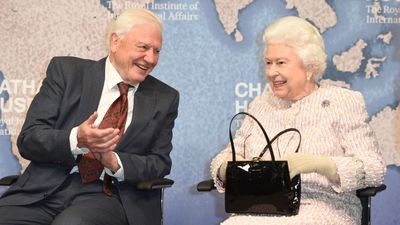 Sir David Attenborough's wholesomely sweet honor for the late Queen Elizabeth