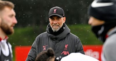 Alisson, Luis Diaz and the Liverpool players Jurgen Klopp will work with in training over international break