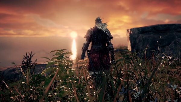 Elden Ring Shadow of the Erdtree DLC officially in development - Xfire