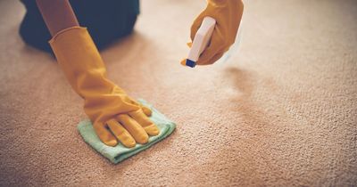 Cleaning whizz praises product that finally gets two-year-old stain out of carpet