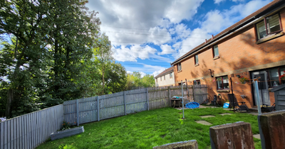 Glasgow trees 'blocking light from garden' spared chop - as they are not a hedge