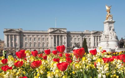 'Spring has sprung' at Buckingham Palace – the 3 flower varieties loved by the royal family